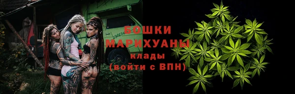 индика Пестово