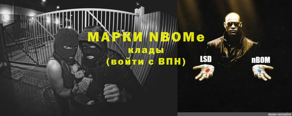 бошки Пересвет