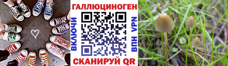 Галлюциногенные грибы Cubensis  наркота  blacksprut рабочий сайт  Власиха 